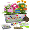 Paint & Plant Flower Growing Kit - Shop-bestdealz