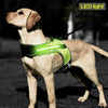 LED Luminous Dog Harness Vest