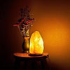 Himalayan Crystal Rock Salt Lamp - Shop-bestdealz