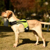LED Luminous Dog Harness Vest